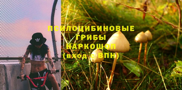 первитин Армянск