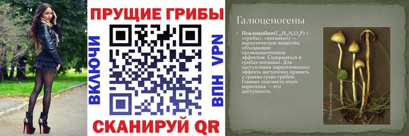 как найти закладки  Талдом  Псилоцибиновые грибы прущие грибы 