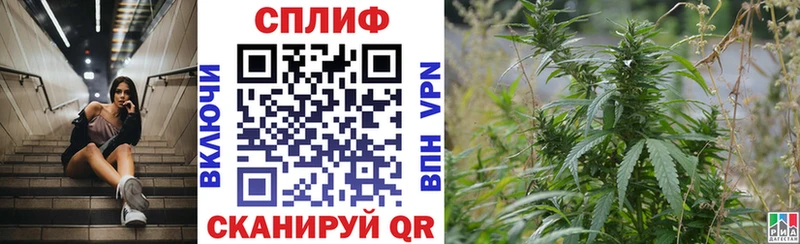 магазин    Талдом  Канабис Ganja 